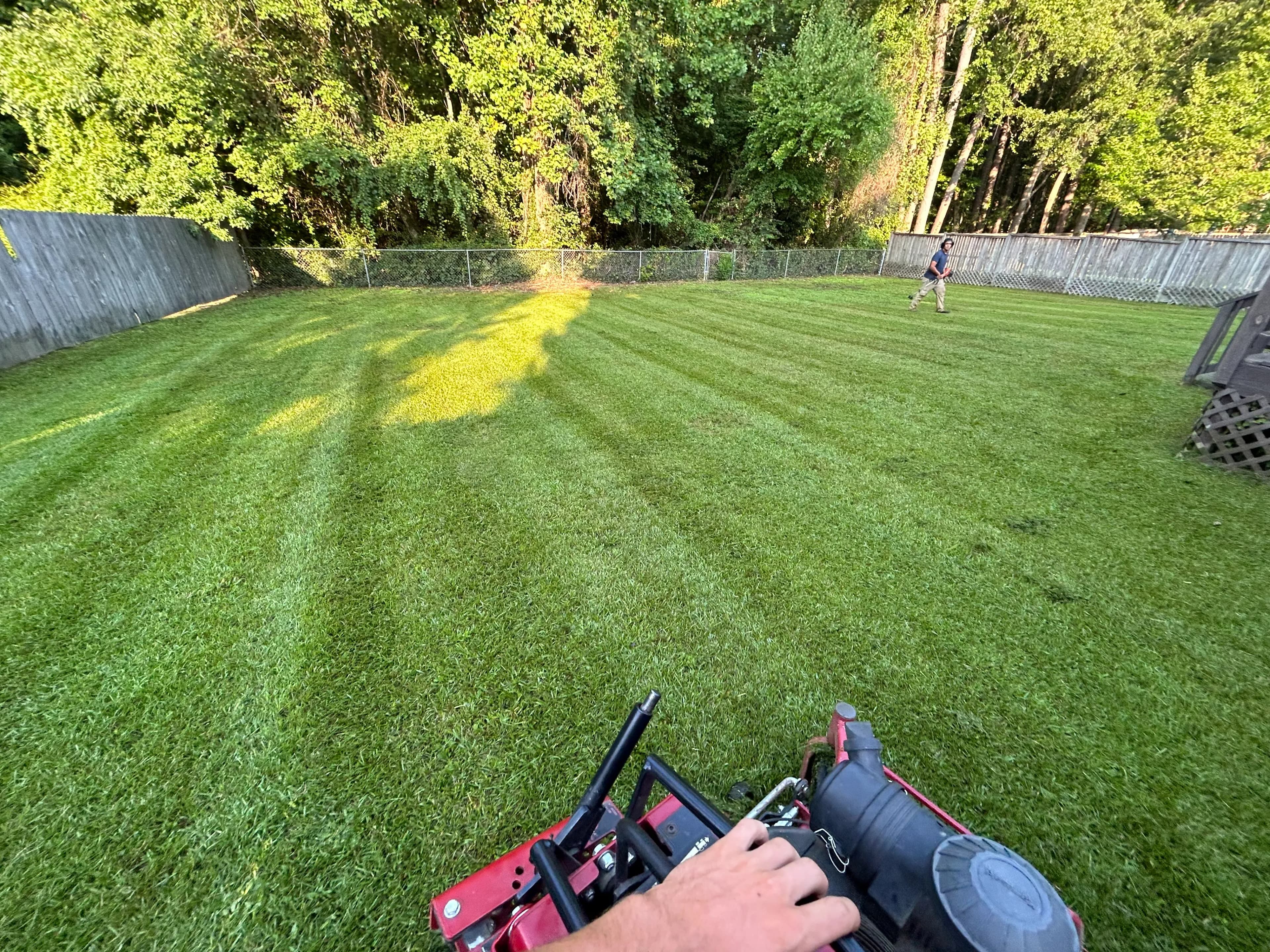 Freshly cut striped lawn near Hope Mills